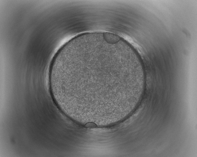 X0000116571469201001071145