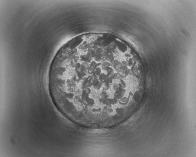 X0000116571471201001071145