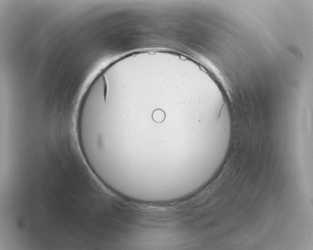 X0000116571472201001071145