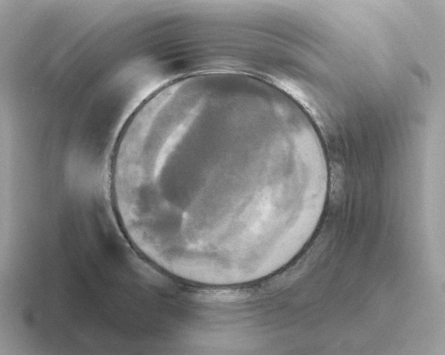 X0000116571474201001071145