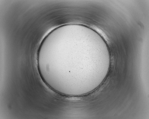 X0000116571476201001071145