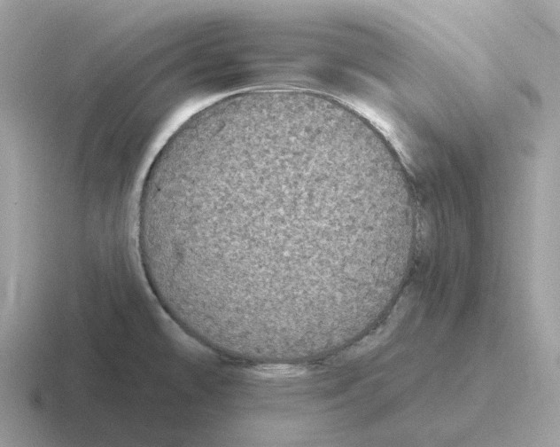 X0000116571478201001071145