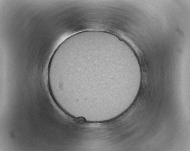 X0000116571479201001071145