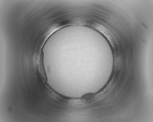 X0000116571481201001071145