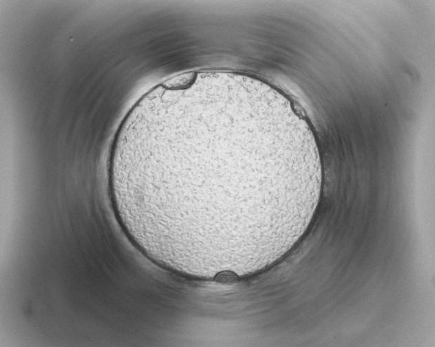 X0000116571483201001071145