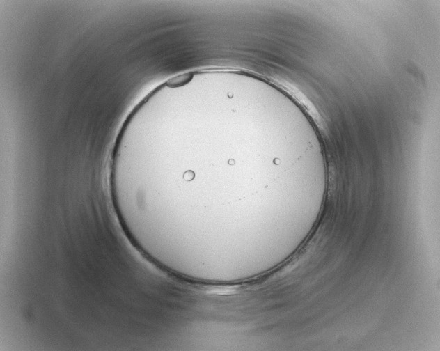 X0000116571484201001071145