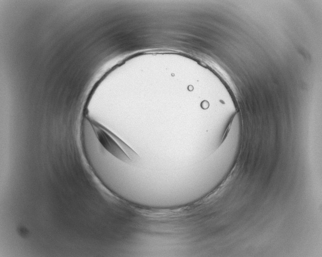 X0000116571485201001071145