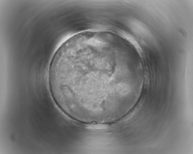 X0000116571487201001071145