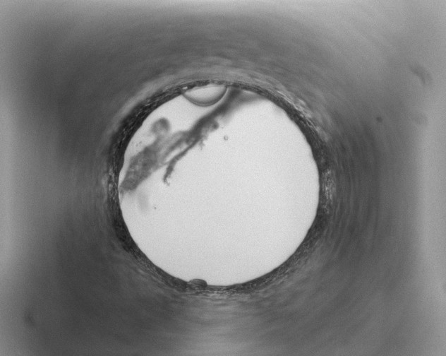 X0000116571495201001071144