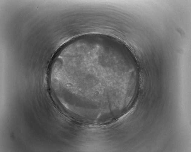 X0000116571497201001071144