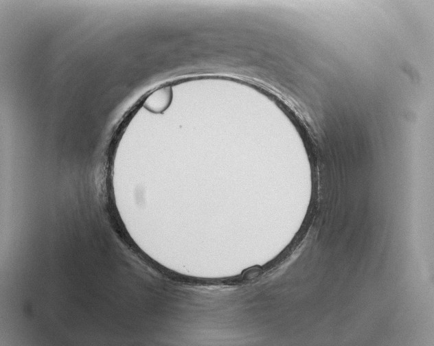 X0000116571502201001071144