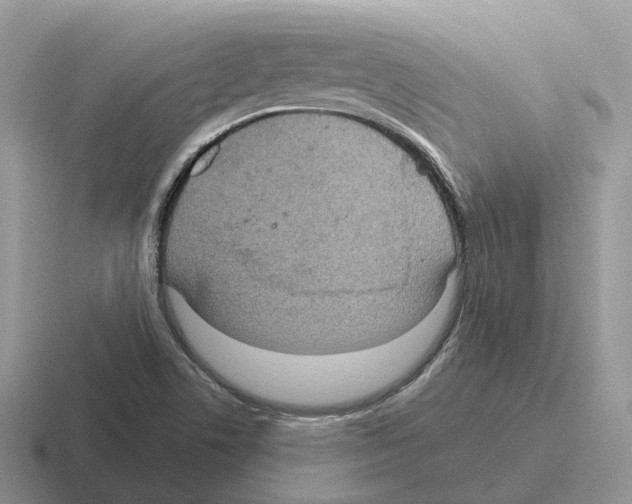 X0000116571506201001071144