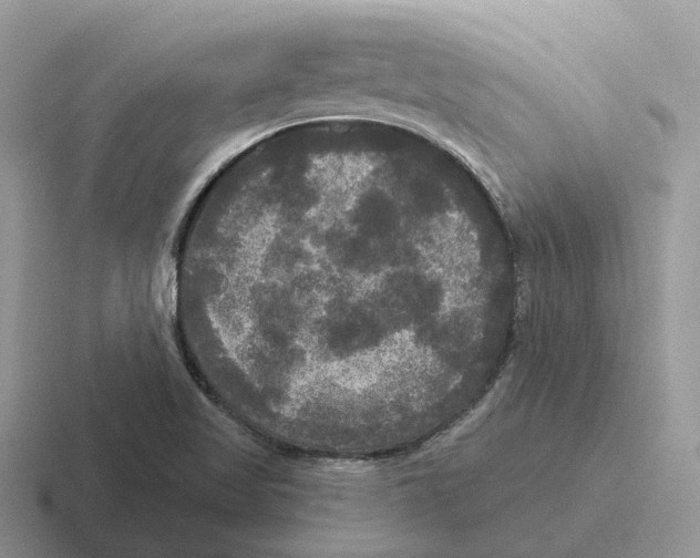 X0000116571509201001071144