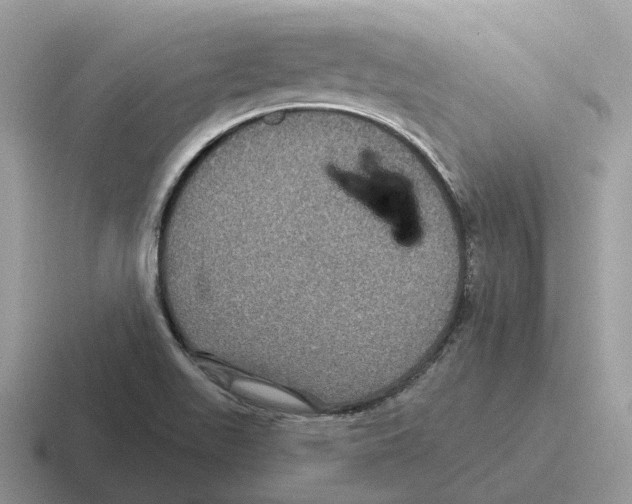 X0000116571511201001071144