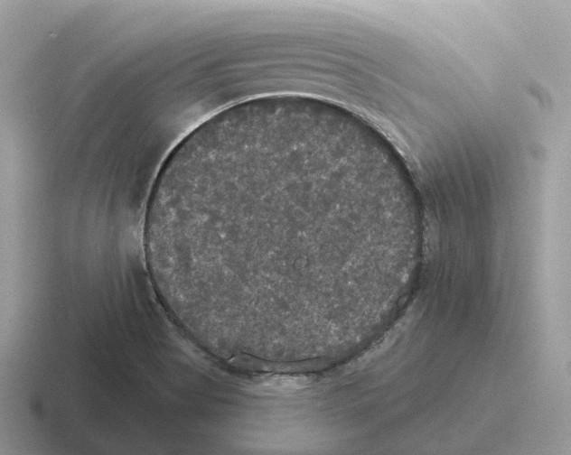 X0000116571513201001071144