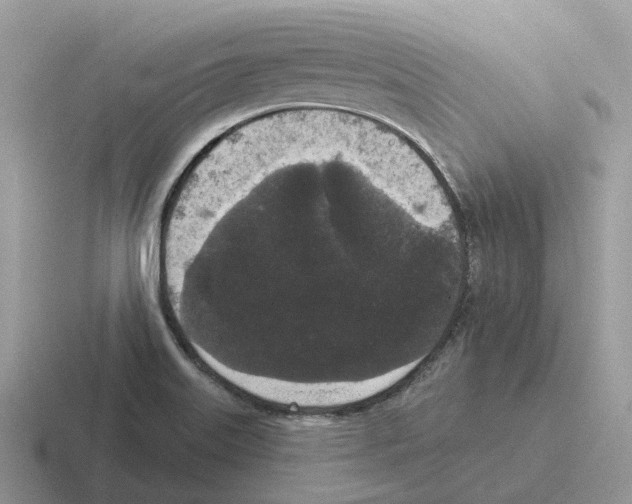 X0000116571515201001071145