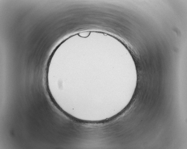 X0000116571518201001071145