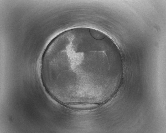 X0000116571519201001071145