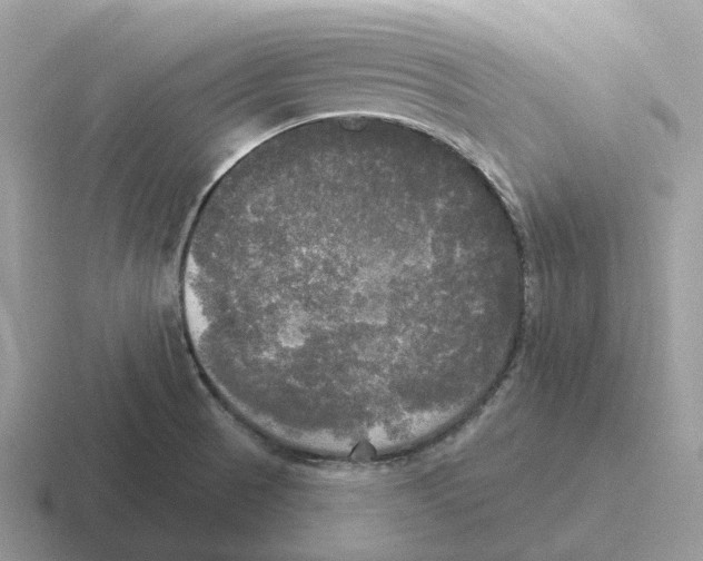 X0000116571521201001071145