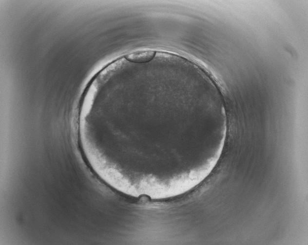 X0000116571522201001071145