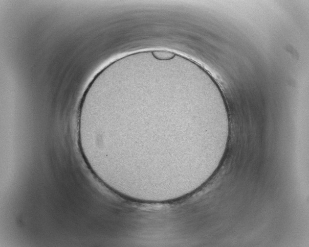 X0000116571526201001071145