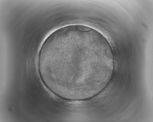 X0000116571527201001071145