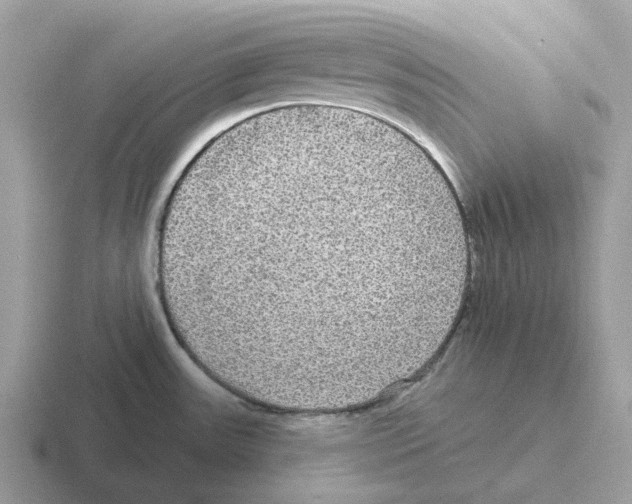 X0000116571531201001071145