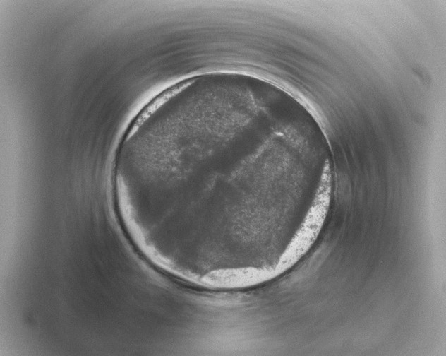 X0000116571533201001071145