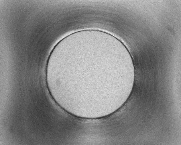 X0000116571534201001071145