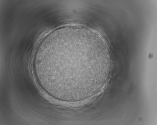 X0000116570001201001211253