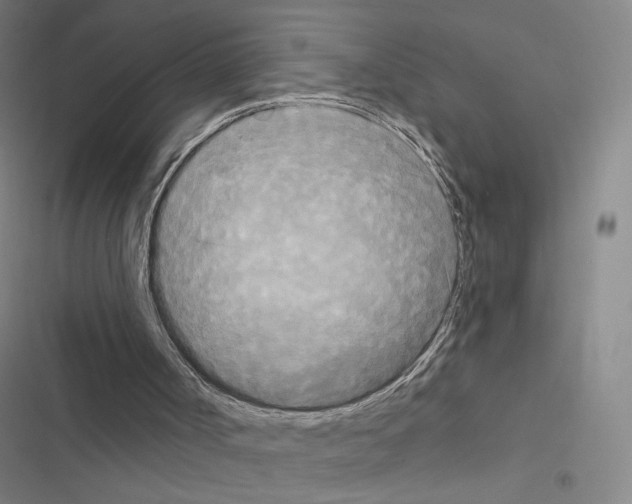 X0000116570002201001211253