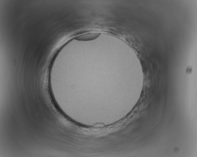 X0000116570005201001211253