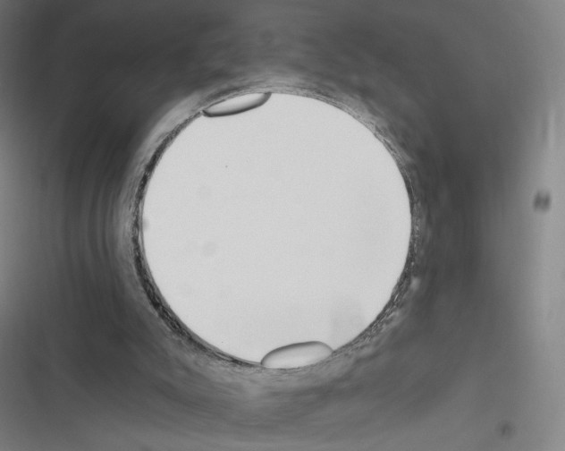 X0000116570007201001211253