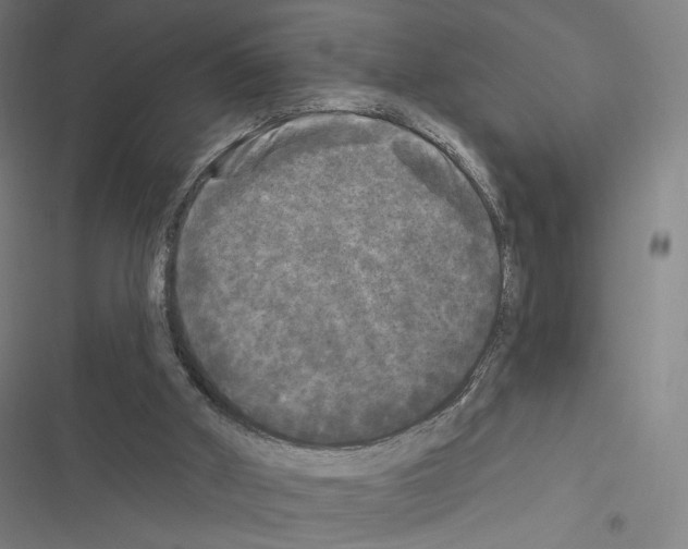 X0000116570010201001211253