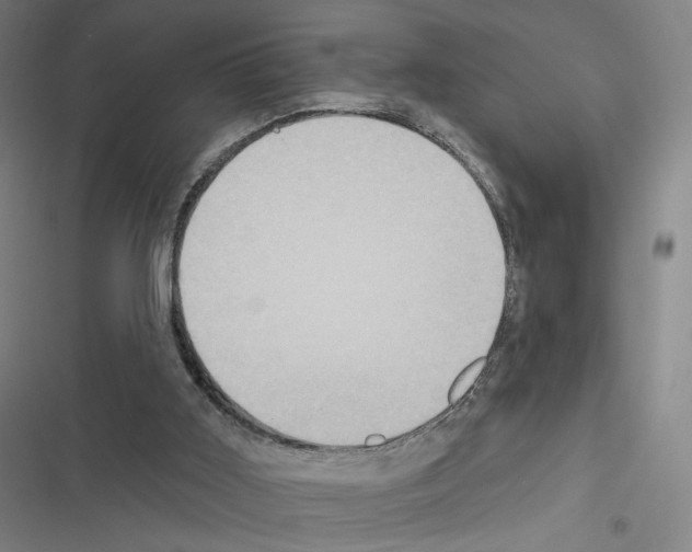 X0000116570011201001211253