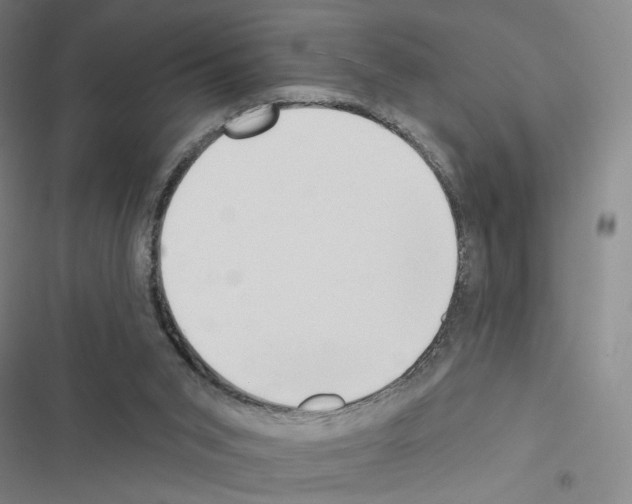 X0000116570015201001211253