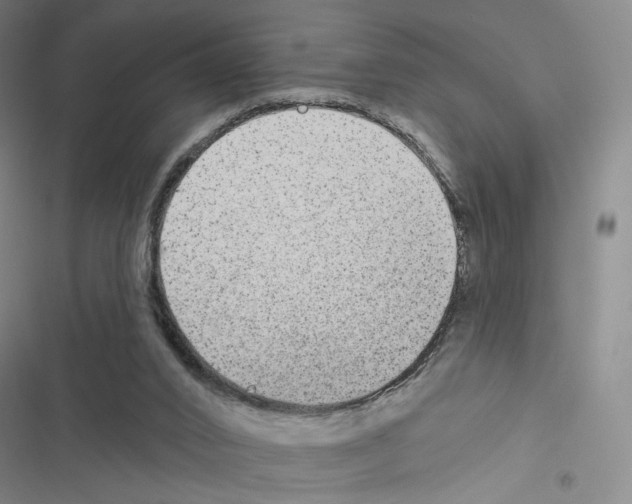 X0000116570016201001211253