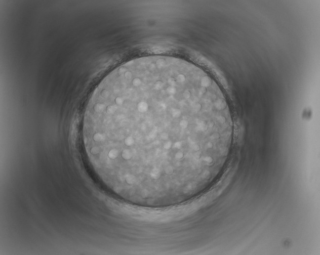 X0000116570018201001211253