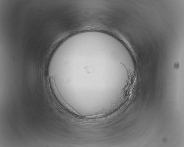 X0000116570019201001211253