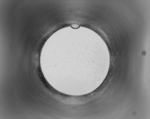 X0000116570020201001211253