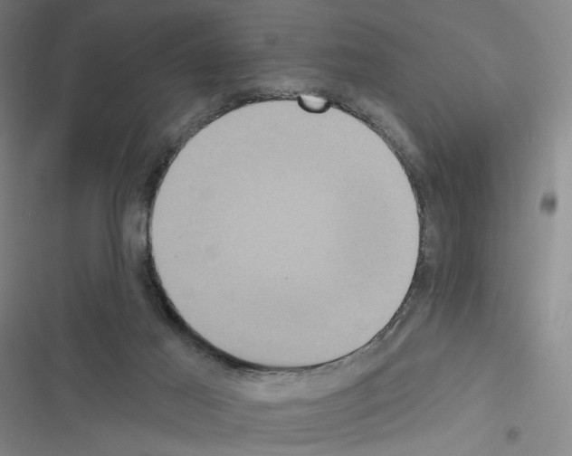 X0000116570021201001211253