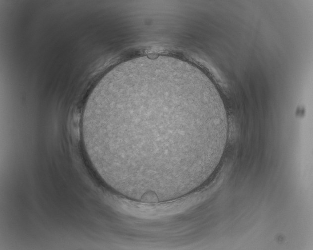 X0000116570022201001211253