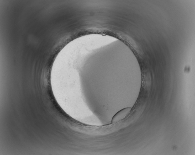 X0000116570023201001211253