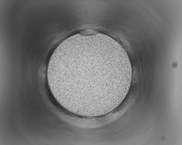 X0000116570024201001211253