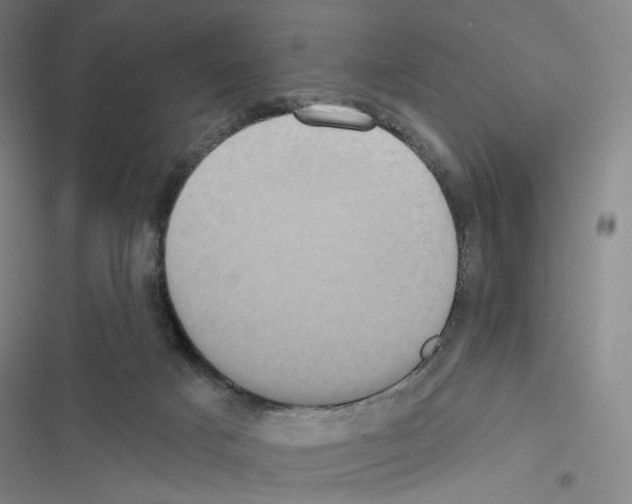 X0000116570025201001211253