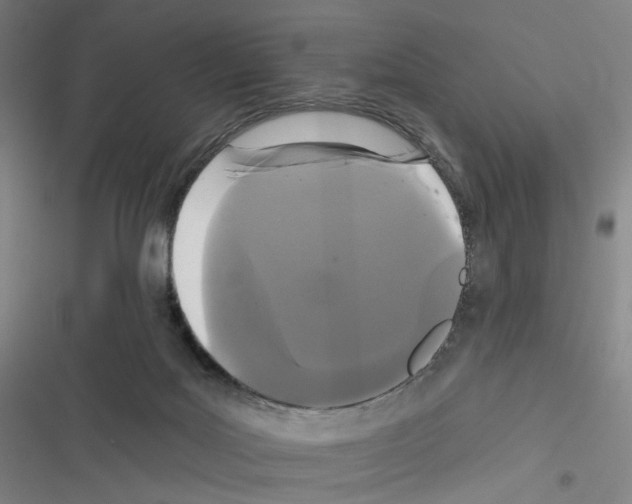 X0000116570027201001211253