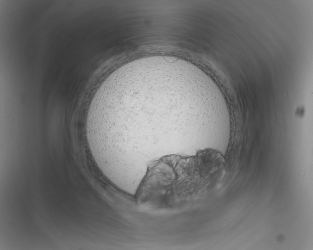 X0000116570028201001211253