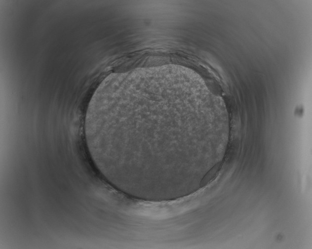 X0000116570029201001211253