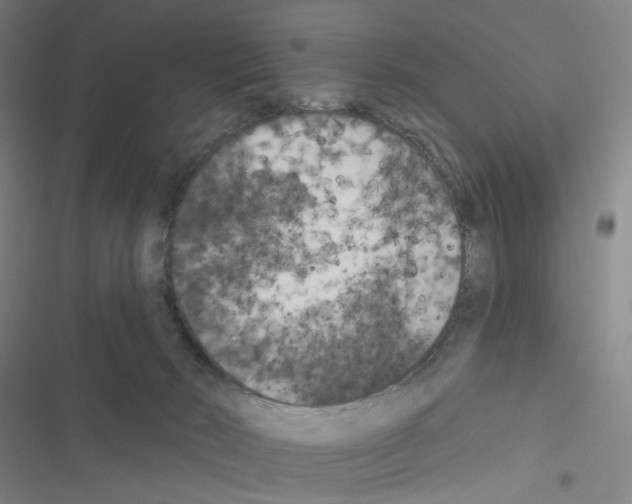 X0000116570030201001211253