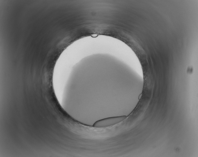 X0000116570031201001211253